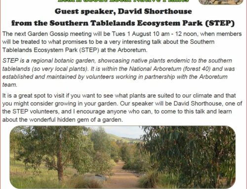 Learn about Local Native Plants  1 Aug 2023